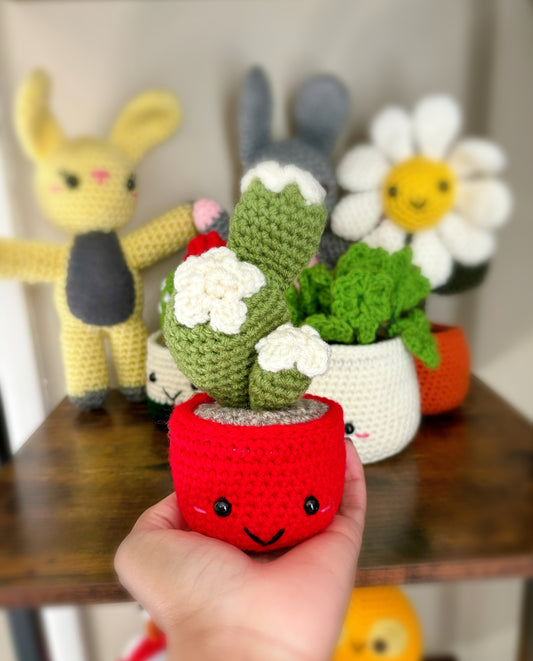 Handcrafted Amigurumi Plant