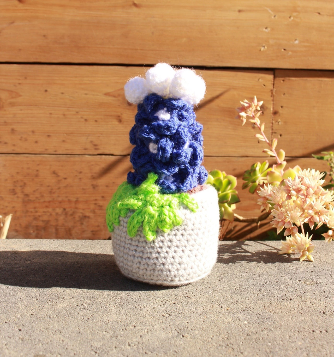 Handcrafted Amigurumi Plant