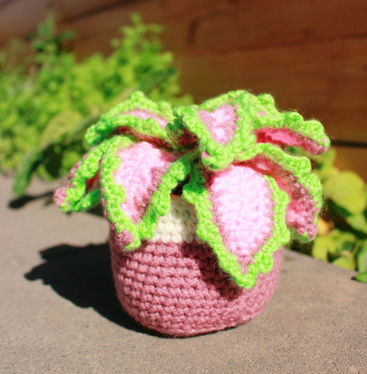 Handcrafted Amigurumi Plant