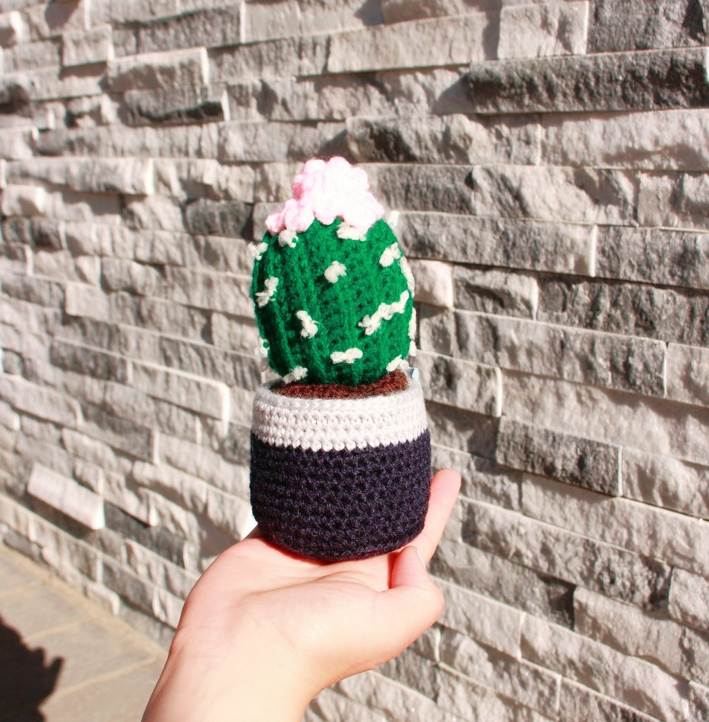 Handcrafted Amigurumi Plant