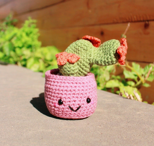 Handcrafted Amigurumi Plant