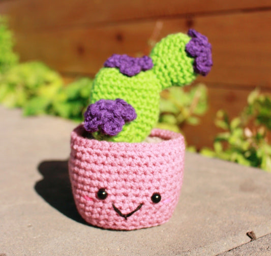 Handcrafted Amigurumi Plant