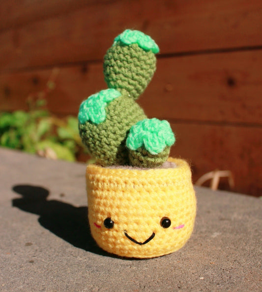 Handcrafted Amigurumi Plant